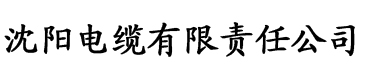 亚洲av片一区二区三区中野电缆厂logo